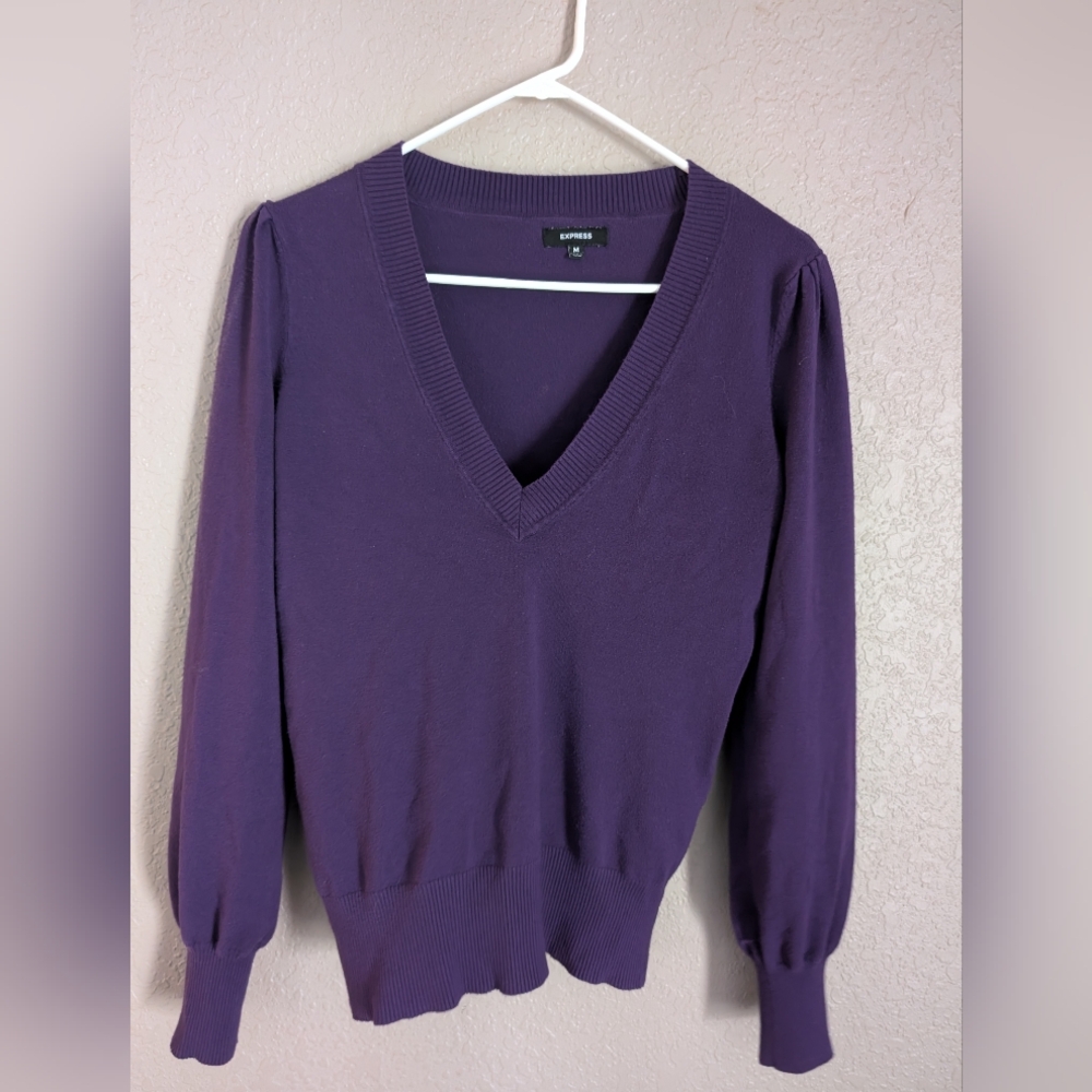 Express Deep Purple V-Neck Sweater